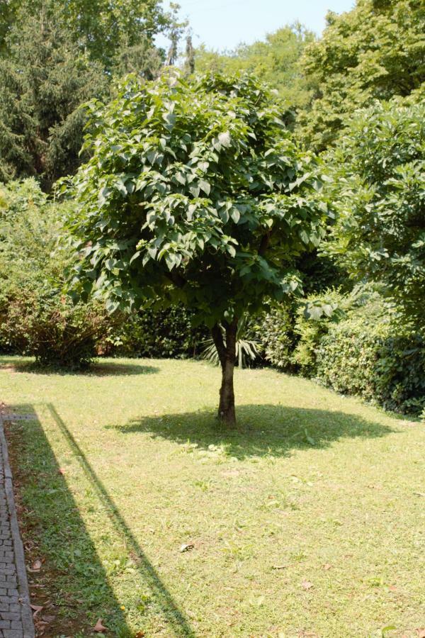 Appartamento Le Magnolie 2 Местре Экстерьер фото